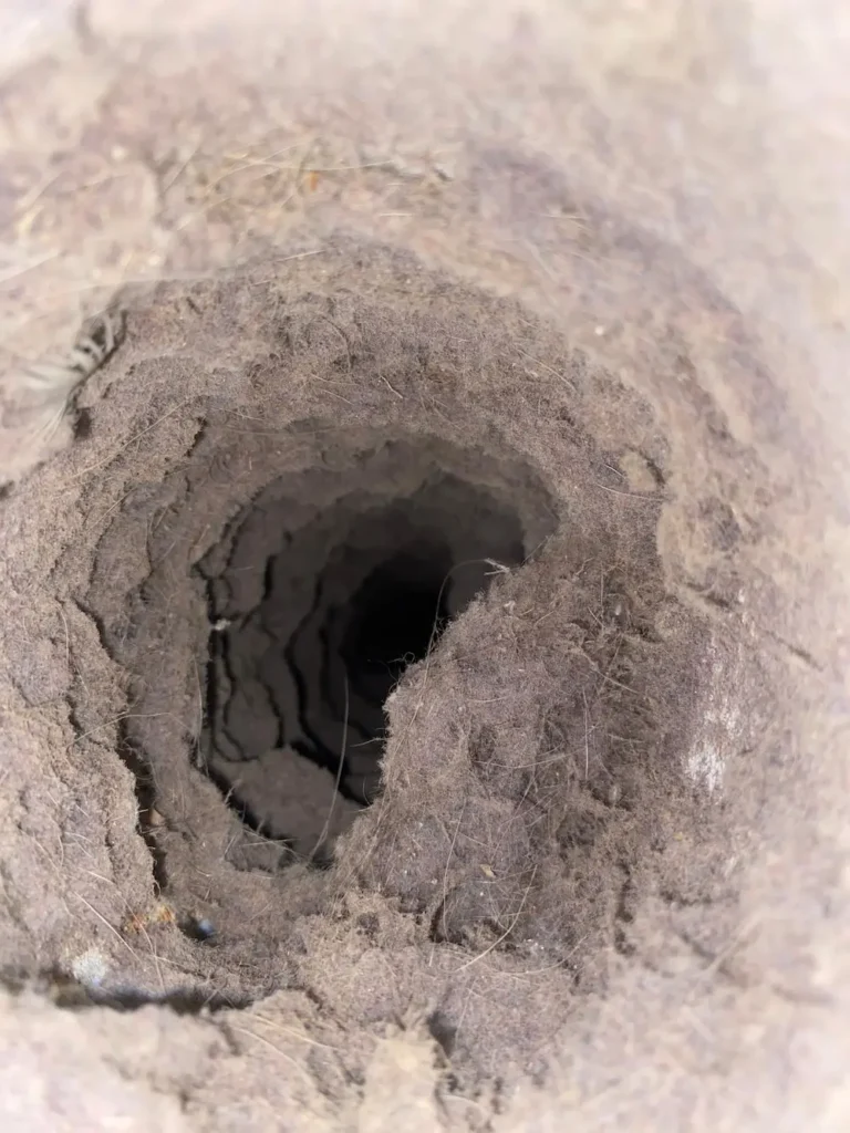 Dryer vent clogged with lint buildup